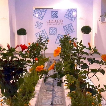 Caelum Case Vacanza تراباني المظهر الخارجي الصورة