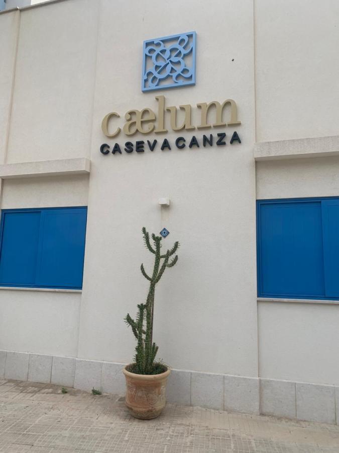 Caelum Case Vacanza تراباني المظهر الخارجي الصورة